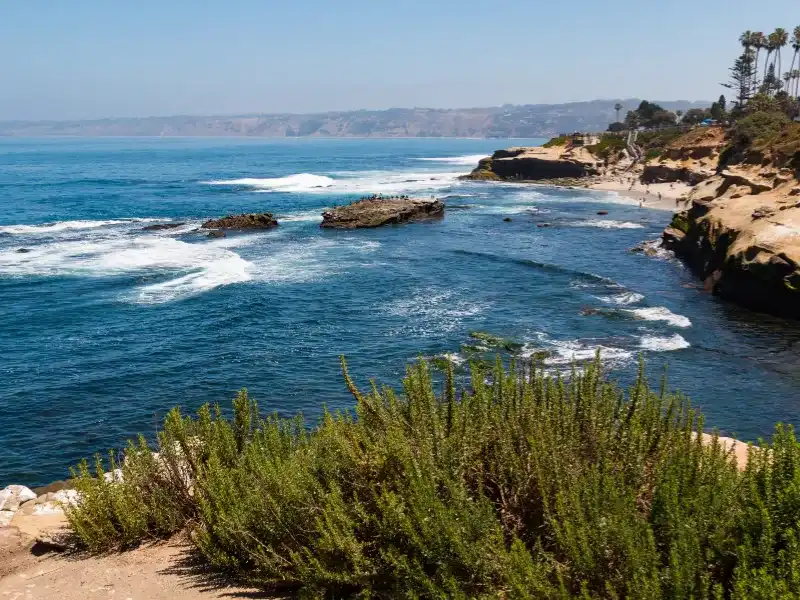 Rocky coastline with waves and green shrubs in the foreground under a clear sky. water damage restoration La Jolla