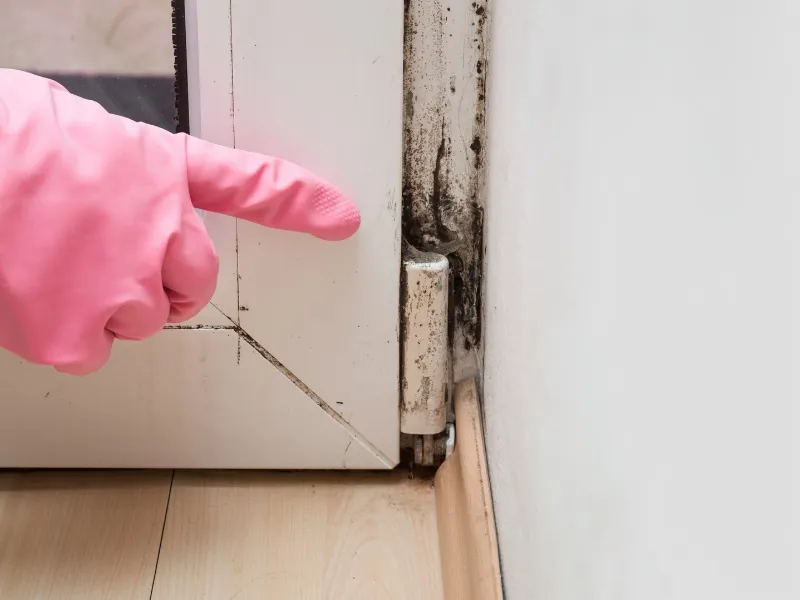 Hand in pink glove pointing at mold and dirt on a white door hinge and frame. mold remediation
